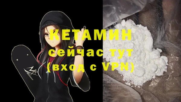 крисы Козловка