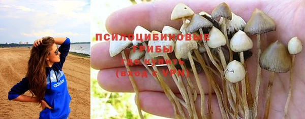 прущий лед Кинешма