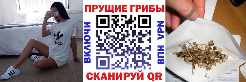 Галлюциногенные грибы GOLDEN TEACHER Дальнереченск