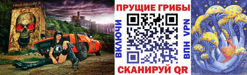 Псилоцибиновые грибы Magic Shrooms  Купить где  Дальнереченск 